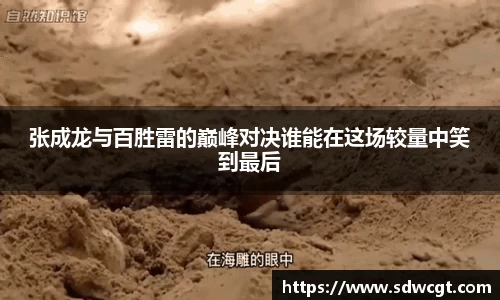 张成龙与百胜雷的巅峰对决谁能在这场较量中笑到最后