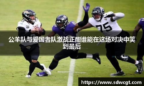 公羊队与爱国者队激战正酣谁能在这场对决中笑到最后